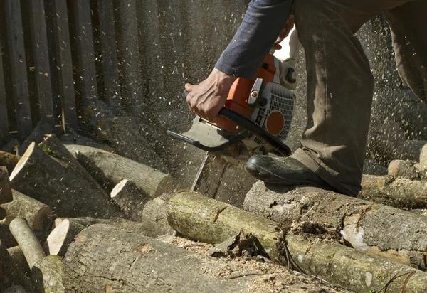 Safe Tree Cutting Service to Protect Your Property