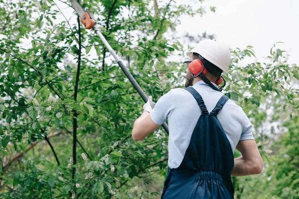 Top Tree Trimming Near Me for Residential Property Maintenance