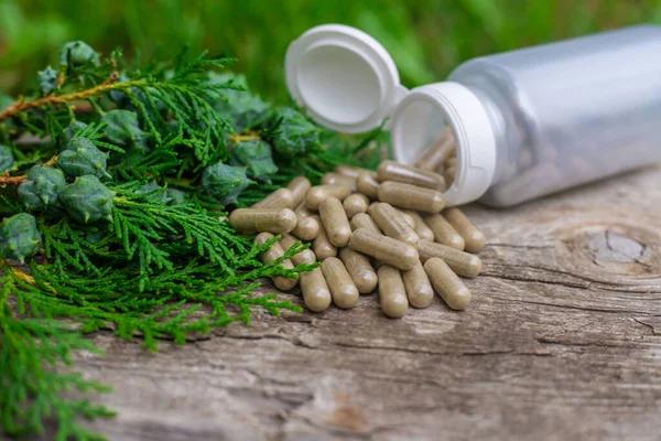 Why How Can Plant-Based Supplements Support Stress Management Matters Today